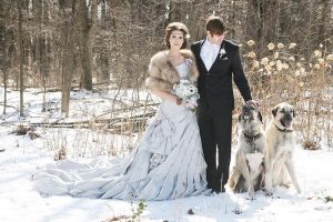 Bride and Groom in snow with large dogs.